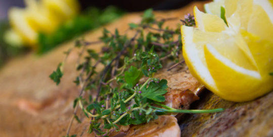 Salmon Plank